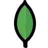 MongoDB icon